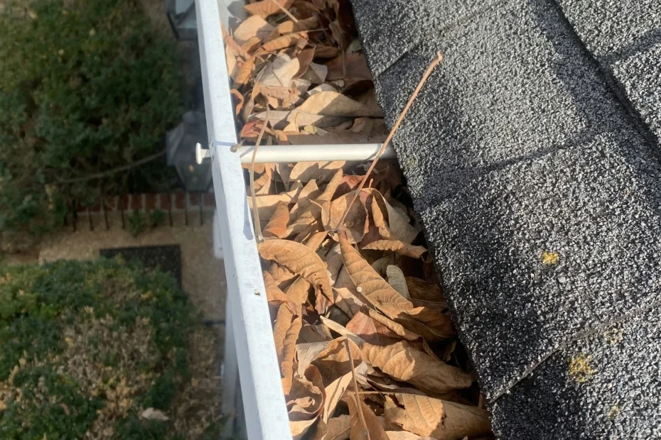 Gutter Cleaning Belle Isle FL