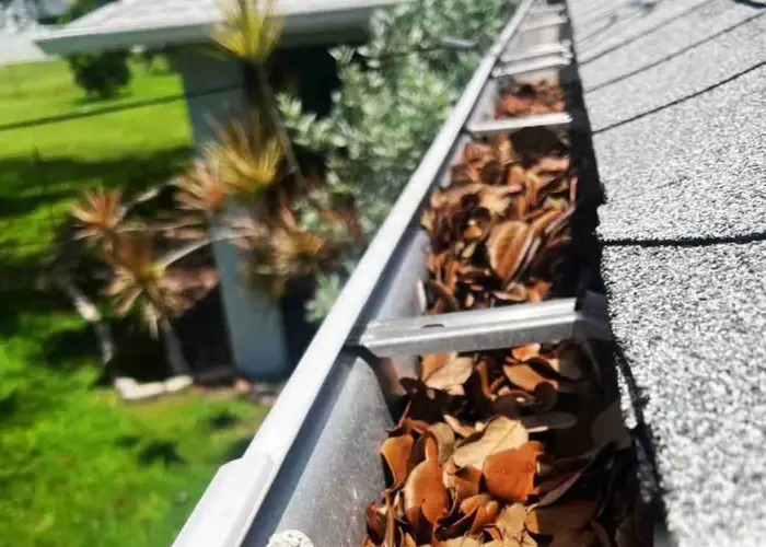 Gutter Cleaning Belle Isle FL home page